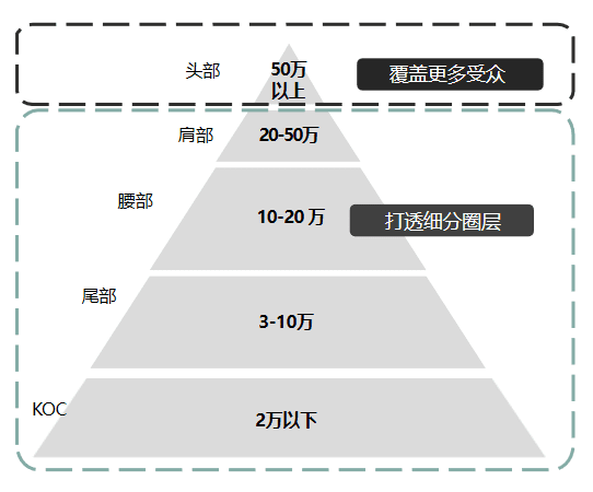 50條看懂B站營銷｜刀法研究所