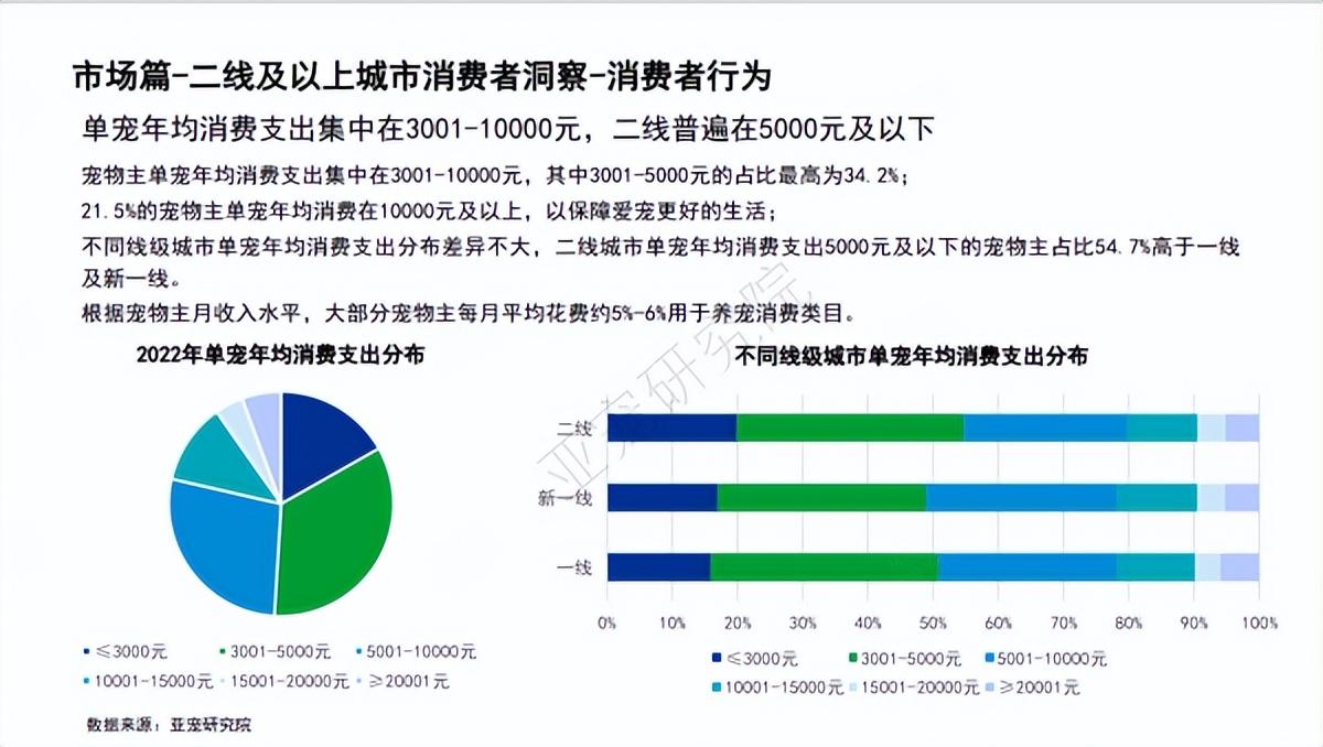 寵物派對成潮流，催生社交“新風(fēng)口”？