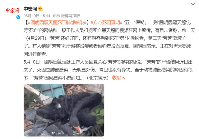 非正常死亡飆升直指原罪，千億動物園產(chǎn)業(yè)何日投身自我救贖？