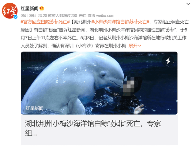 非正常死亡飆升直指原罪，千億動物園產(chǎn)業(yè)何日投身自我救贖？