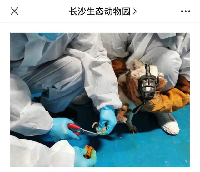 非正常死亡飆升直指原罪，千億動物園產(chǎn)業(yè)何日投身自我救贖？