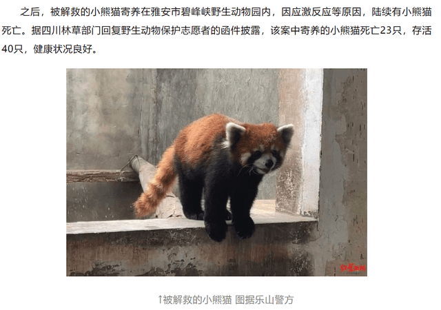 非正常死亡飆升直指原罪，千億動物園產(chǎn)業(yè)何日投身自我救贖？