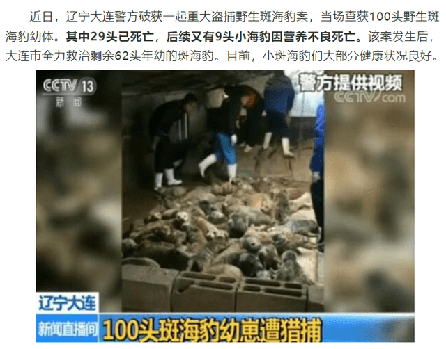 非正常死亡飆升直指原罪，千億動物園產(chǎn)業(yè)何日投身自我救贖？