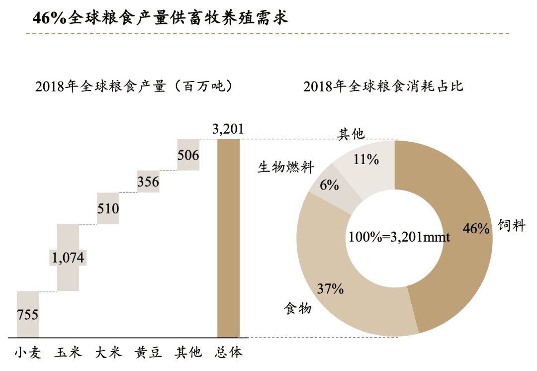 細(xì)胞肉，一道人類的必選題？