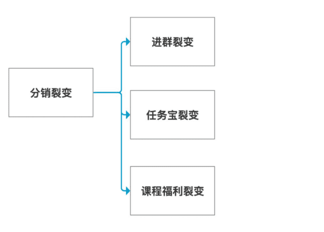 星星之火，可以燎原|”分階段“裂變帶來(lái)1周1萬(wàn)+垂直戶